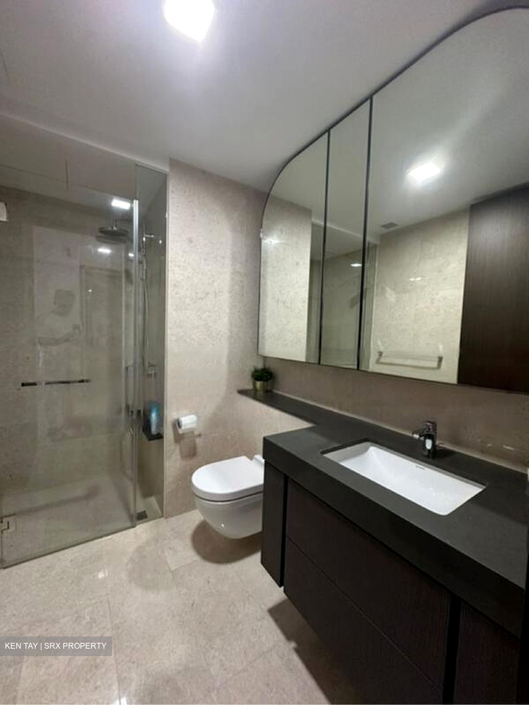 Avenue South Residence (D3), Apartment #426704011